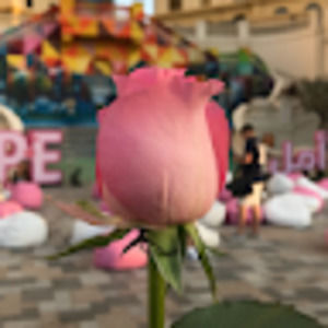 Meet your Posher, Janice kama